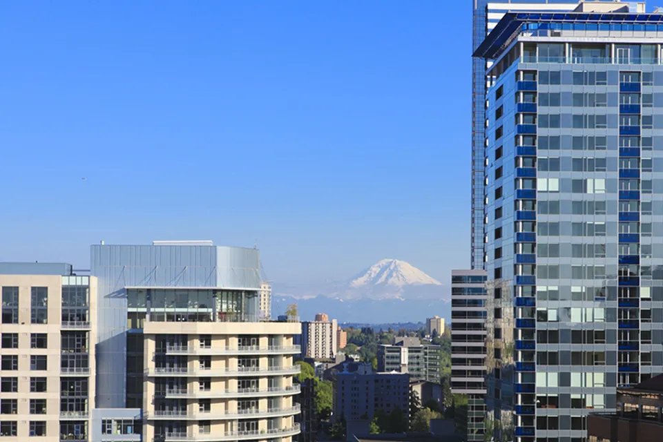Mt. Rainier